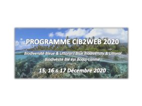 CIB2WEB 2020: PROGRAMME SCIENTIFIQUE